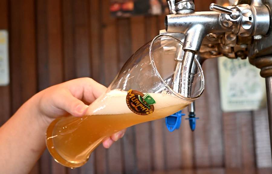 The Paul Bangalore - Murphy's Brewhouse