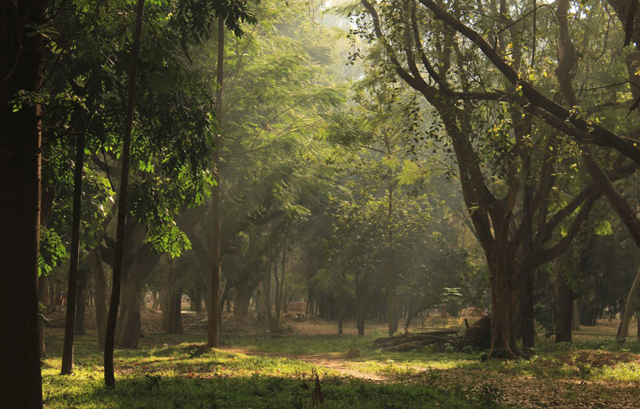 Hideaways @ Karnataka